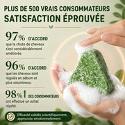 Savon capillaire solide