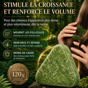 Savon capillaire solide